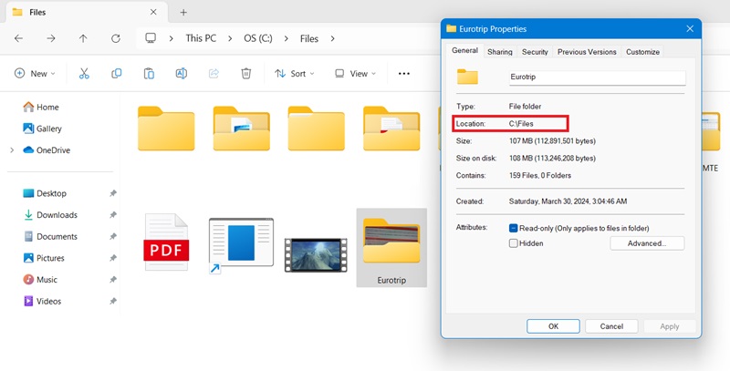 Location path of a folder in File Explorer viewable using its Properties.