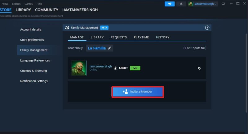 Adding family members to Steam Family