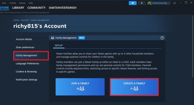Creating s Steam Family in Steam settings