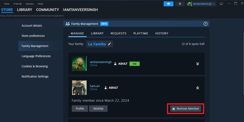 Remove member from Steam Family