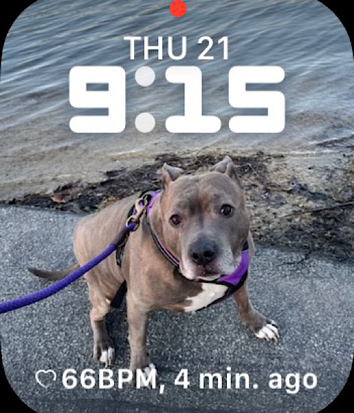 Watch Face Gallery #1