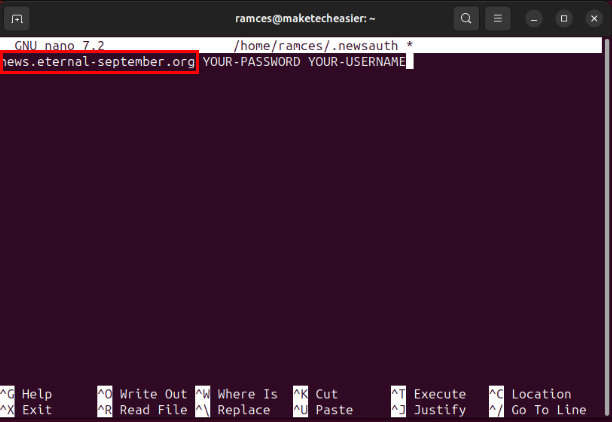 A terminal with a highlight on the USENET provider's address.