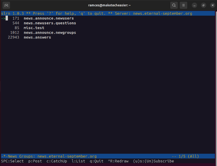 A terminal showing slrn running with five sample newsgroup subscriptions.