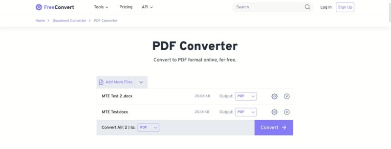 Converted PDF in FreeConvert web tool. 