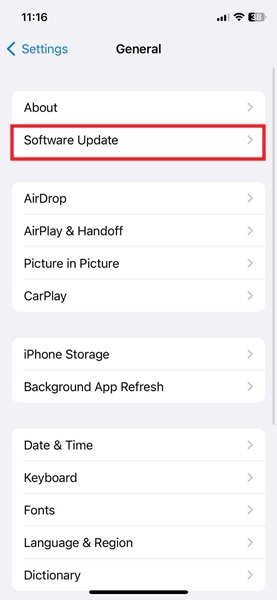 Tap on "Software Update" in iOS Settings.