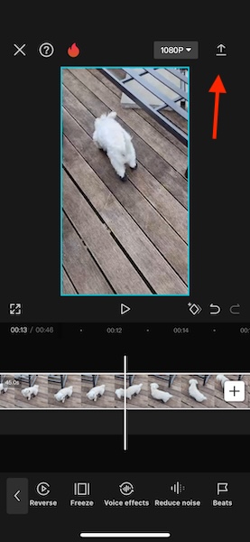 Capcut Export Reversed Video