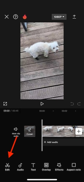 Capcut Select Clip Edit