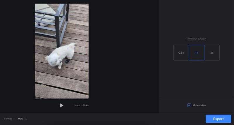 Clideo Reverse Video