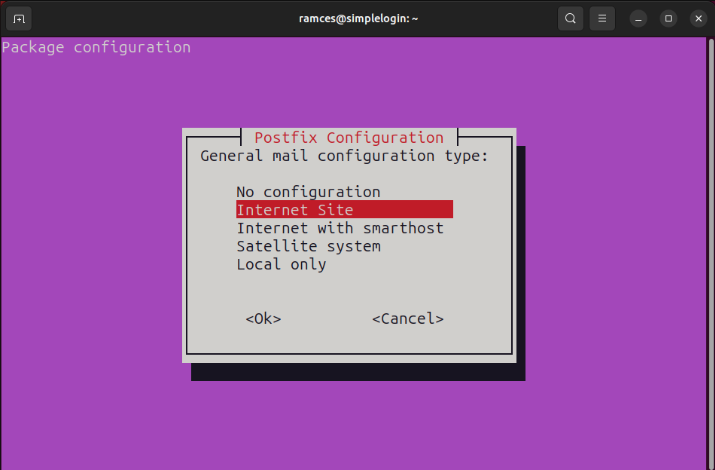 A terminal showing the "Internet Site" option on the Postfix installer.
