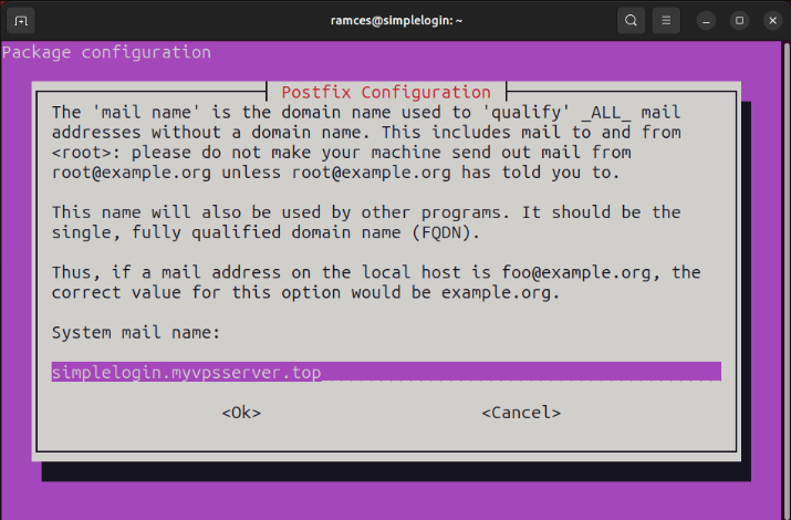 A terminal showing the default system name value for the server.