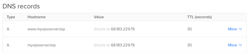 A screenshot showing two A records pointing to the IP address of the machine.