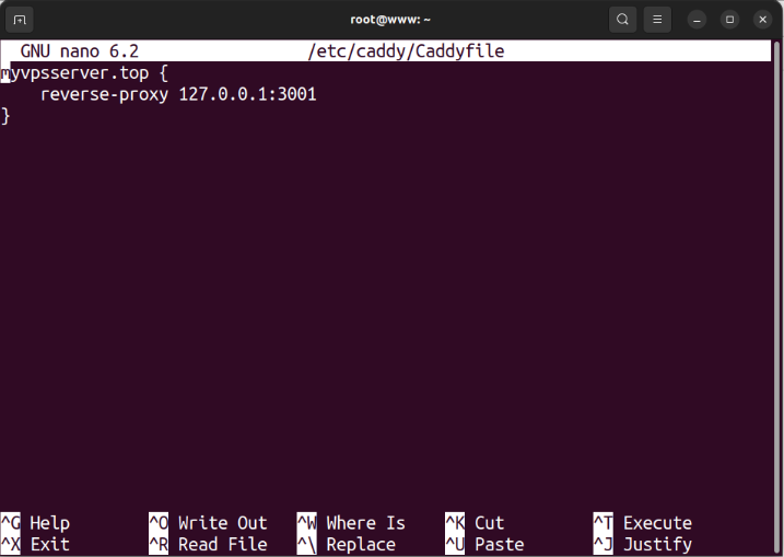 A terminal showing a modified Caddy reverse proxy configuration.