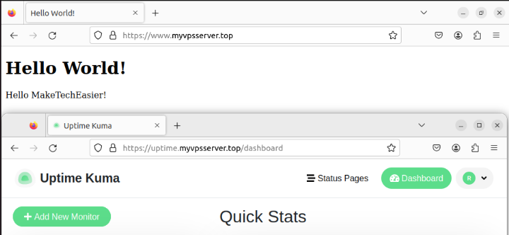 A screenshot showing the two services running under SSL with Caddy.