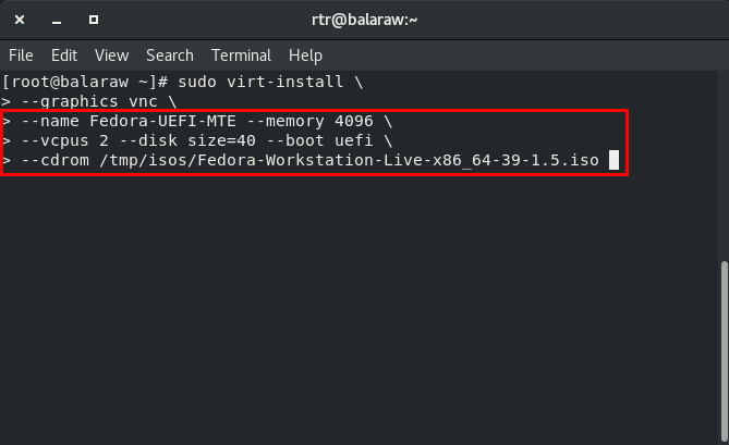 A terminal showing a highlight on the VM-specific variables for the new VM.