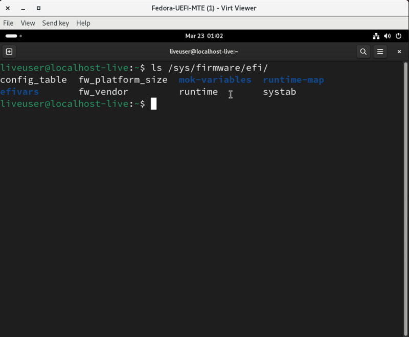 A screenshot showing the contents of the "efi" folder for the current VM.