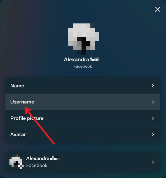 Selecting "Username" option in Facebook Accounts Center on PC.