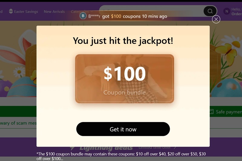 Coupon bundle pop up on the Temu website.