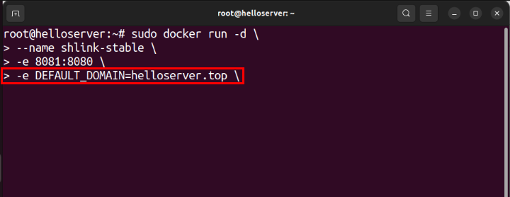 A terminal showing the default domain value for the demo server.