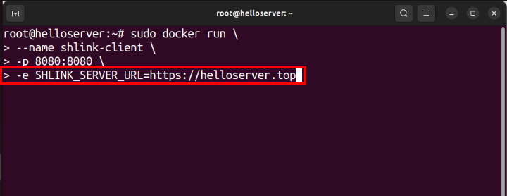A terminal showing the complete URL for the Shlink backend instance.