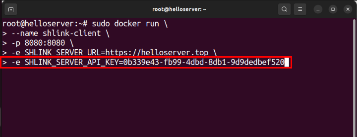 A terminal showing the Shlink backend API key.