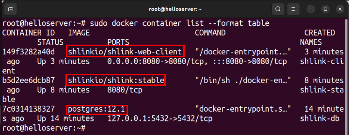 A terminal showing the three containers that build the complete Shlink web app.