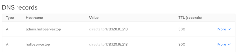 A screenshot showing the two DNS records for the demo Shlink server.