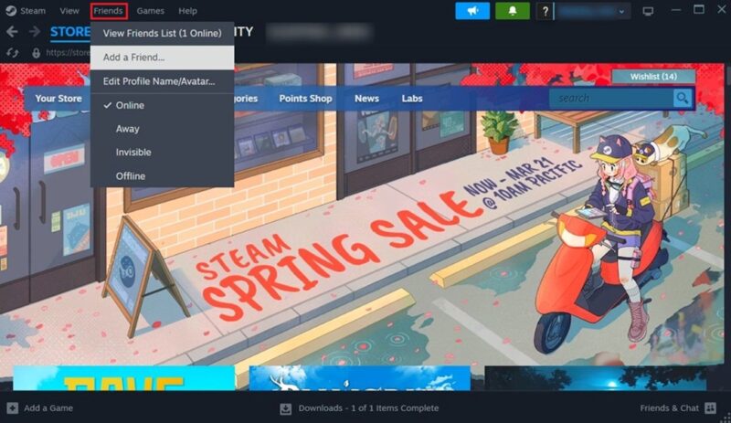 Adding new friends in the Steam client for desktop. 
