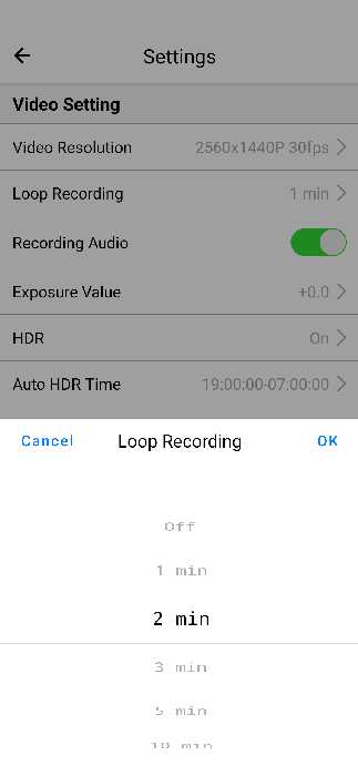 Viofo Vs1 Tiny 2k Loop Duration