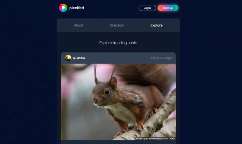 Pixelfed Fediverse Explore
