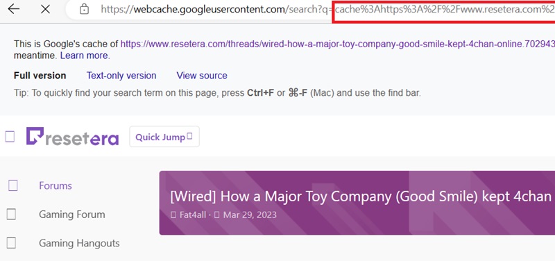 Google cache search results for a blocked website with the "cache:" prefix before the URL.