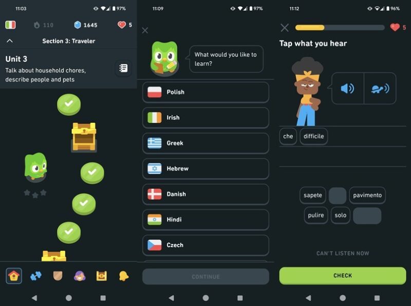 Duolingo app interface overview.