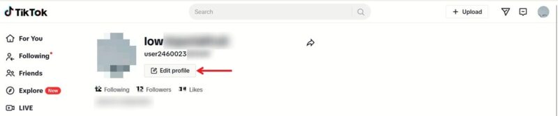 Clicking on Edit profile button on TikTok profile on PC.