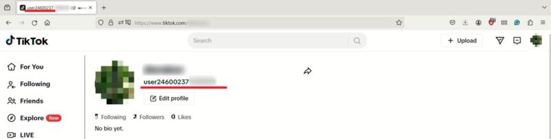 View of TikTok profile page with display name visible on PC.