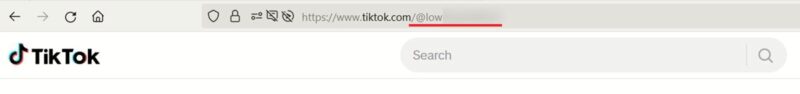TikTok profile URL visible in browser on PC.
