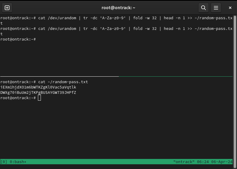 A terminal showing the two randomly generated passwords for Ontrack.
