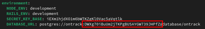 A terminal highlighting the second random password for the Postgres database.