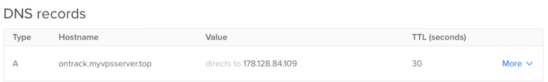 A screenshot showing the custom A DNS record for Ontrack.