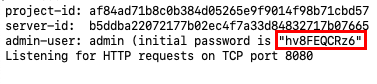 A screenshot highlighting the random password for the admin account.