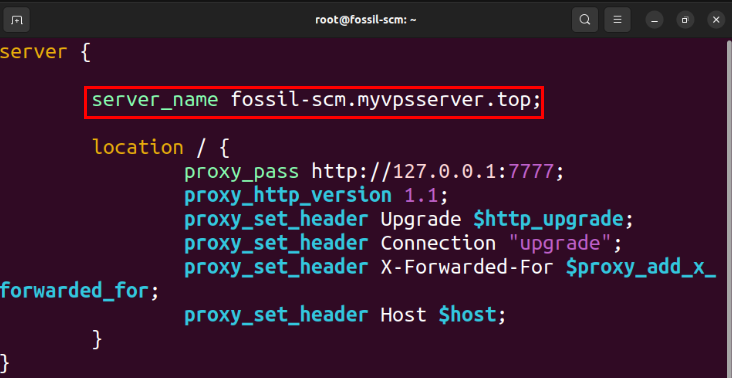 A terminal showing a reverse proxy site config file in Nginx.