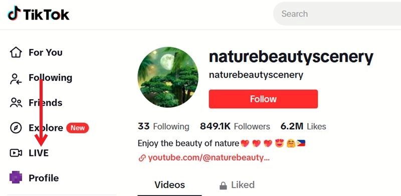 Clicking on LIVE option in TikTok on PC.