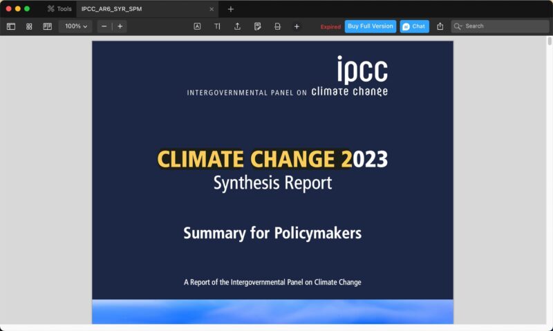 Pdf Expert Report Opened
