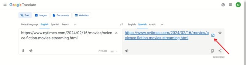 Using Google Translate on link.