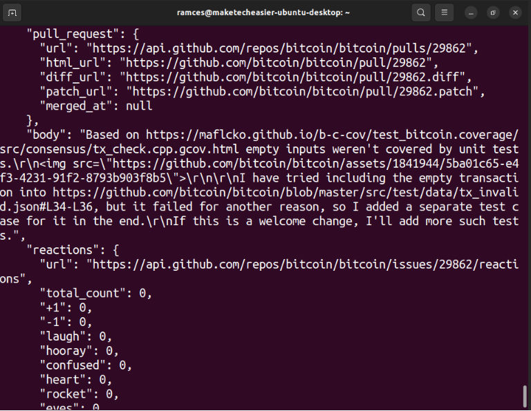 A terminal showing the default "wall of code" for the Github API.