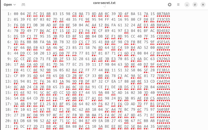 A screenshot showing the secret data extracted from a GPG private key using paperkey.