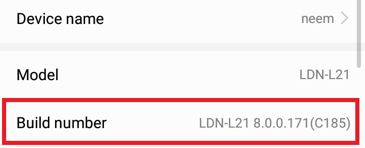 Tap on the Build Number for 7 times