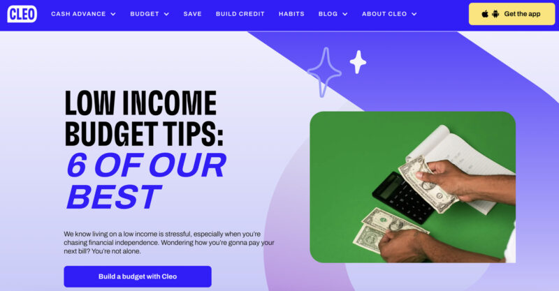 Cleo Budgeting Ai Tool