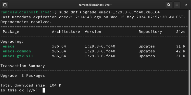 A terminal showing the selective upgrade prompt for Emacs.