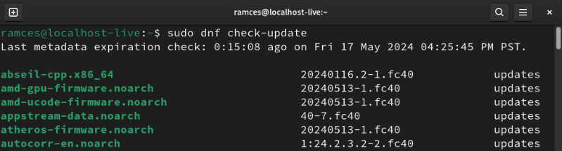 A terminal showing the output of the check-update subcommand after deleting the Tailscale repo file.