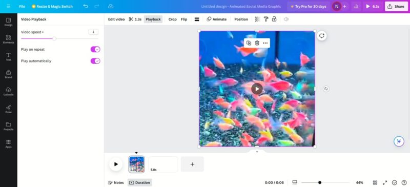 Creating a GIF with Canva.