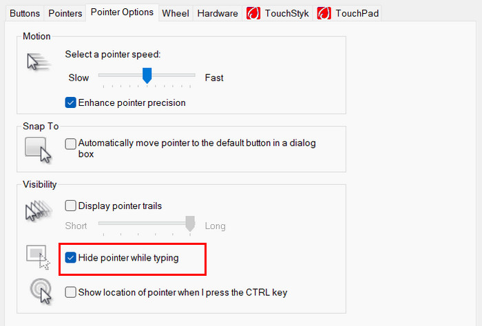 Hide Pointer While Typing